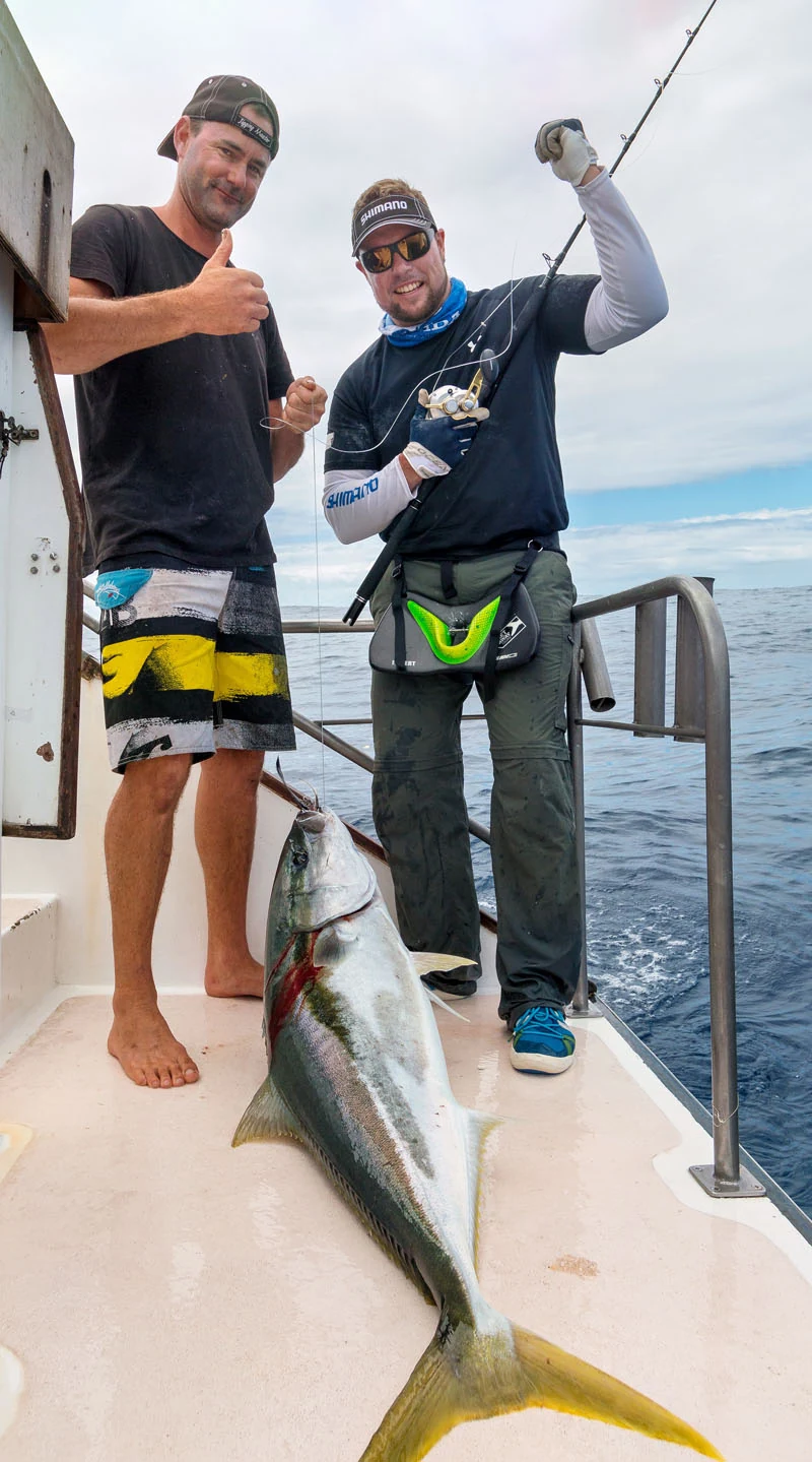 Kingfish Winneu