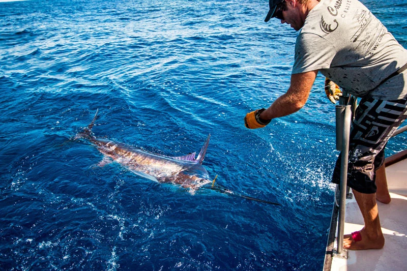 NZ best of 26neu