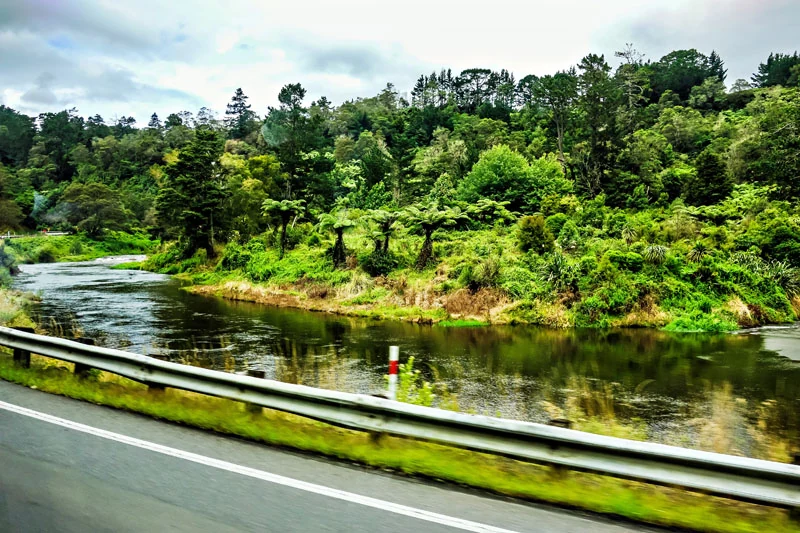 NZ best of 34neu