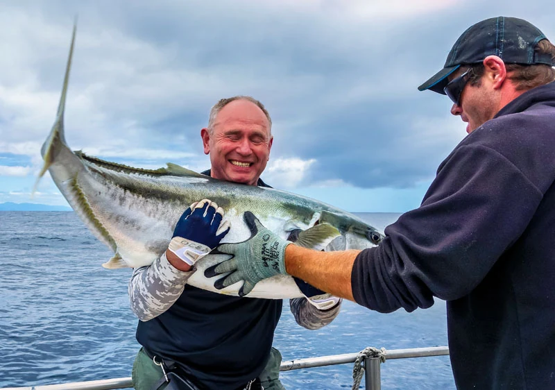NZ best of 46neu