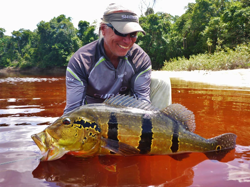 Amazonas 2