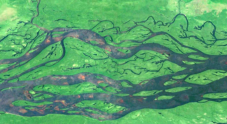 Rio Negro Google web