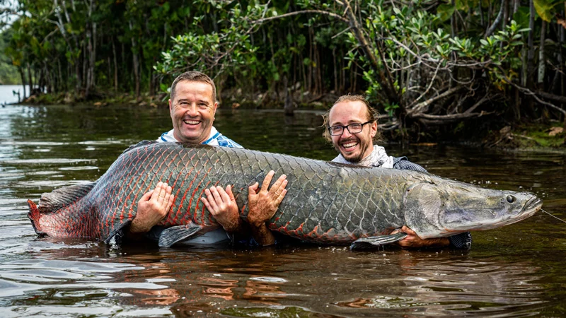 ecuador arapaima big 800
