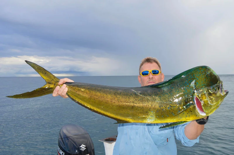 mahi