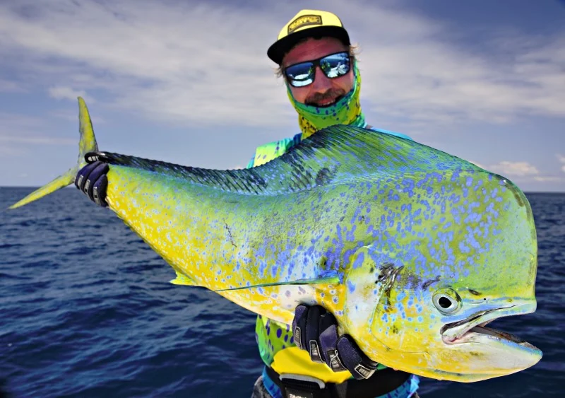 Costa Rica Mahi