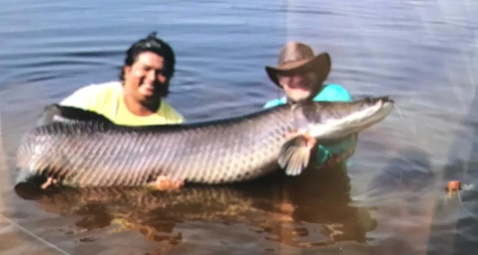 Ecuador Arapaima 3