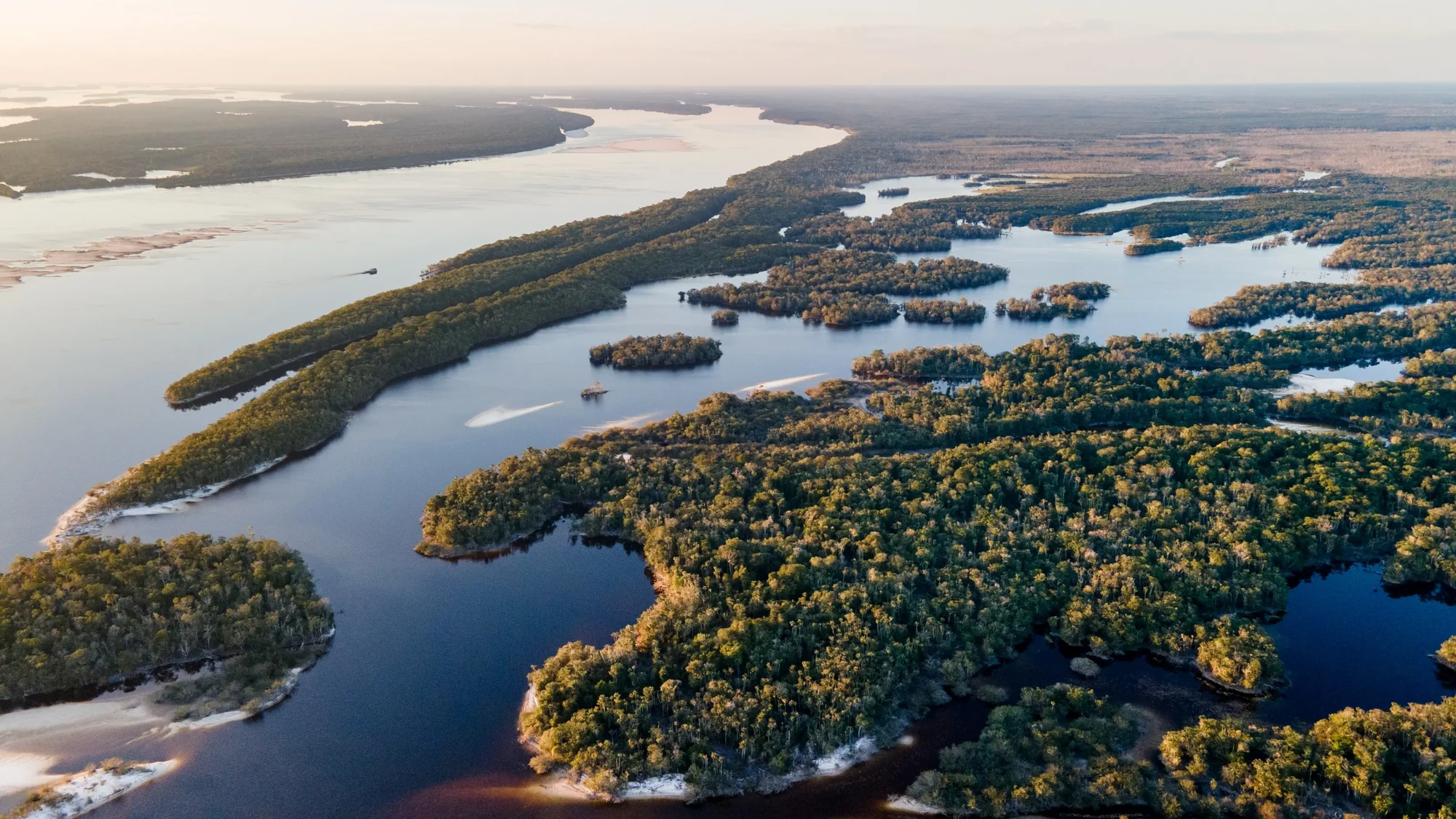 Rio Negro von oben