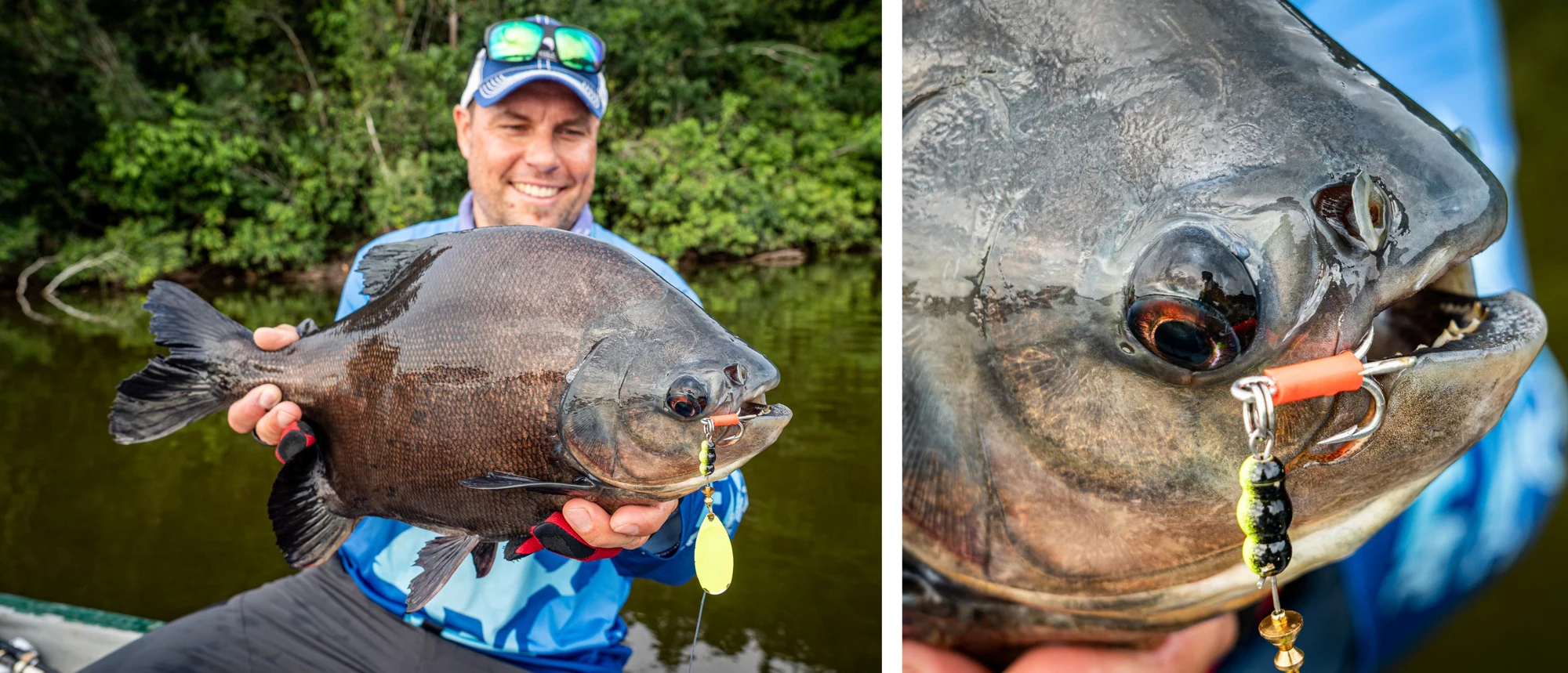 ecuador pacu collage ecuador pacu fishing6 scaled Angelurlaub Ecuador