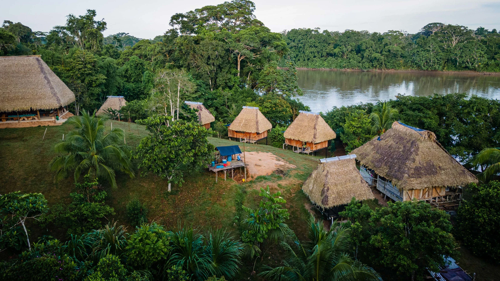 ecuador tucunare lodge fishing trip amazon travel2fish scaled Angelurlaub Ecuador