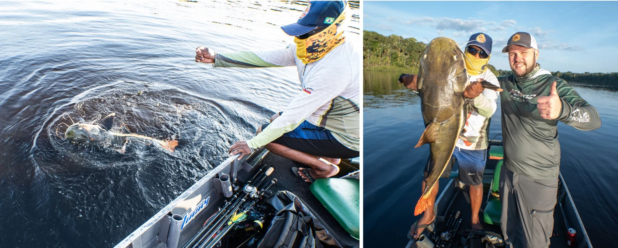 rio negro red tail collage 19 scaled brazil fishing trips,brazil fishing trip,brazil amazon fishing trips