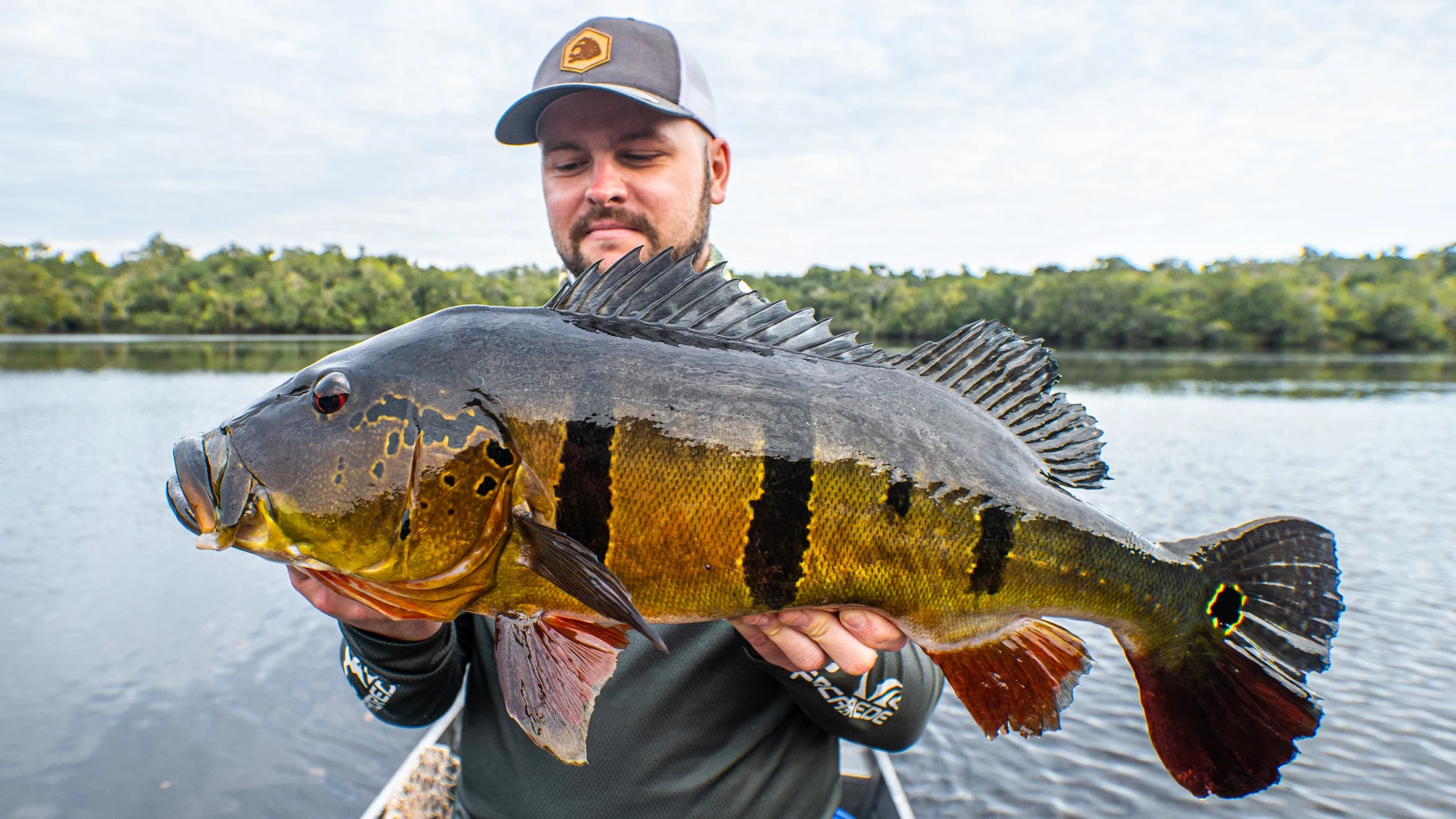 rion negro big peacock fishing trip 10 scaled brazil fishing trips,brazil fishing trip,brazil amazon fishing trips