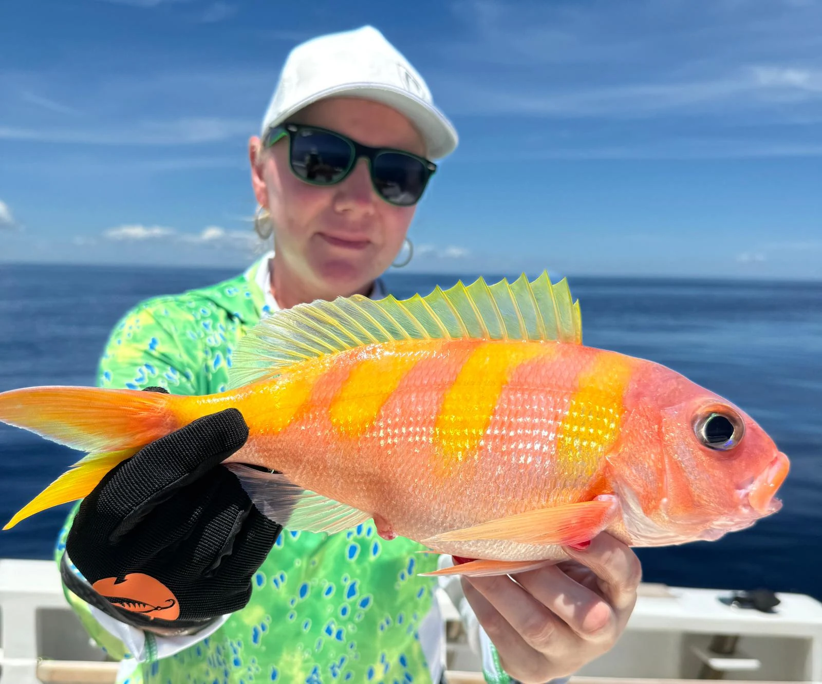Madagaskar Obilique Banded Snapper
