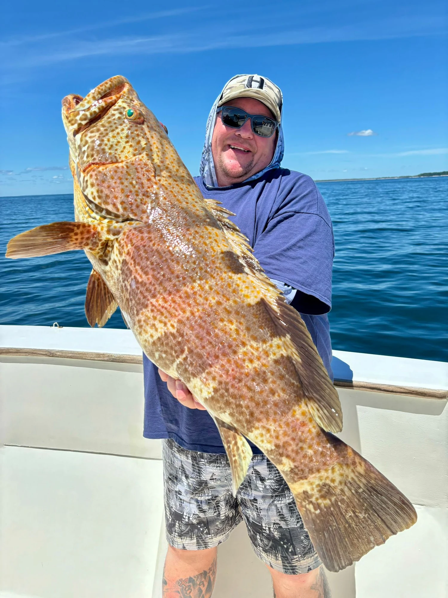 Madagaskar Timo Grouper