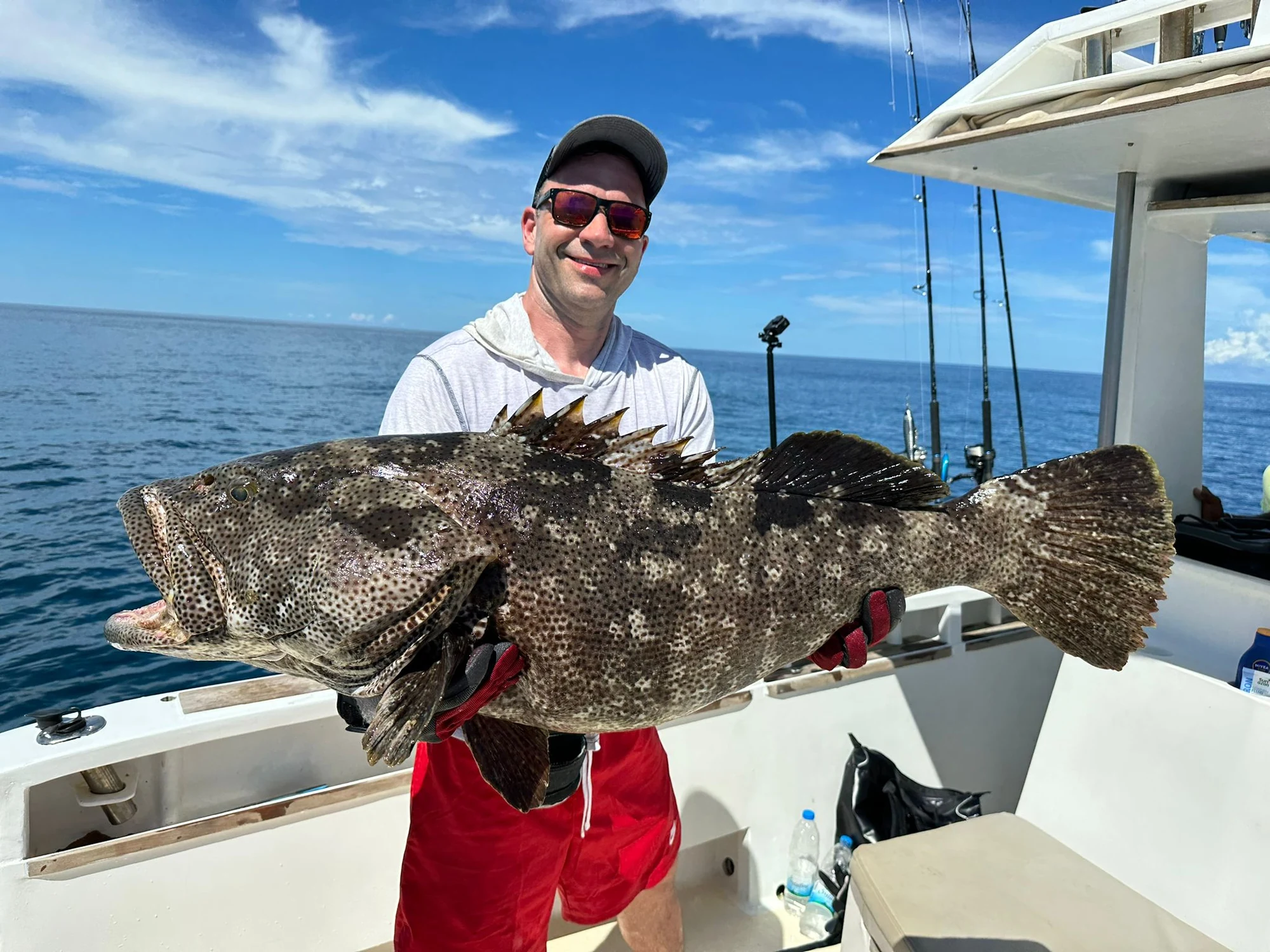 Madagaskar Tony Grouper