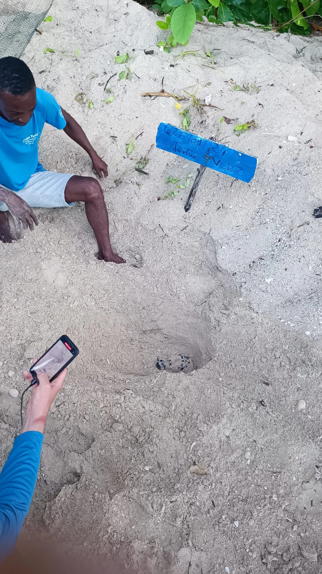 Madagaskar Turtles 3
