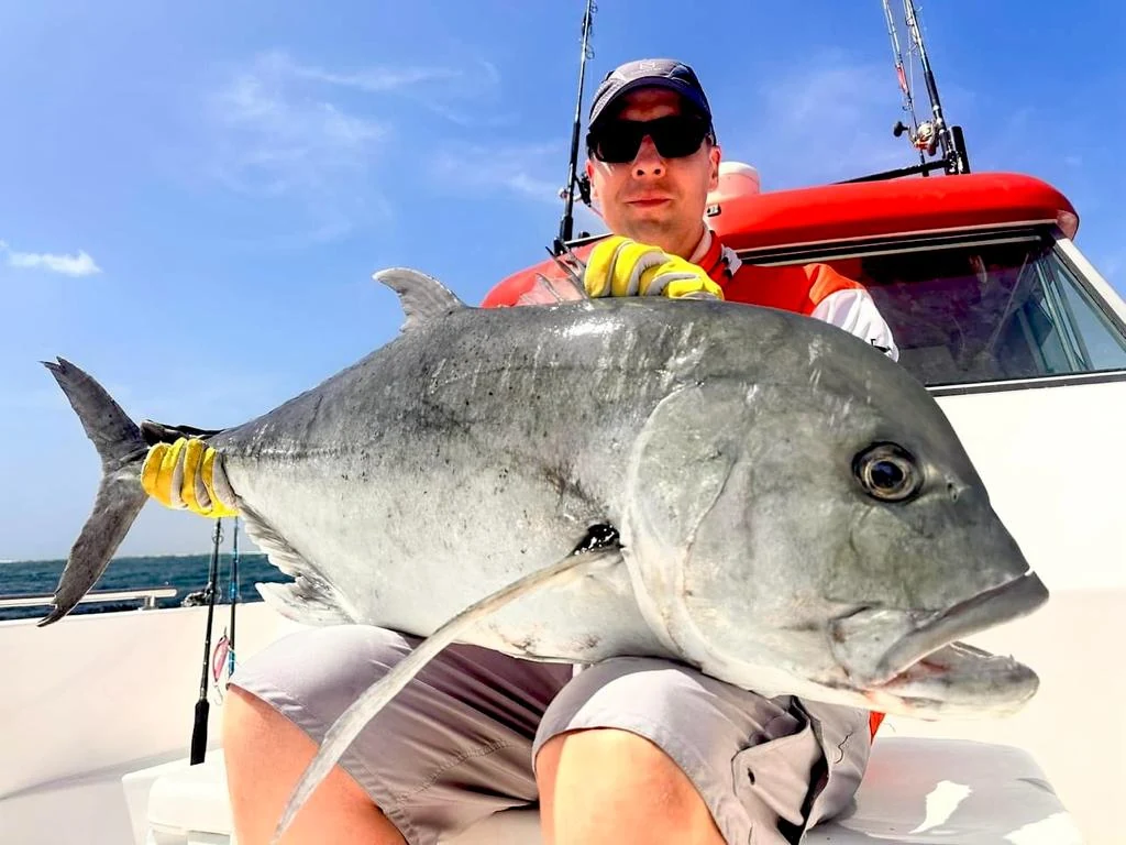 Schöner Giant Trevally auf dem Schoß des Anglers