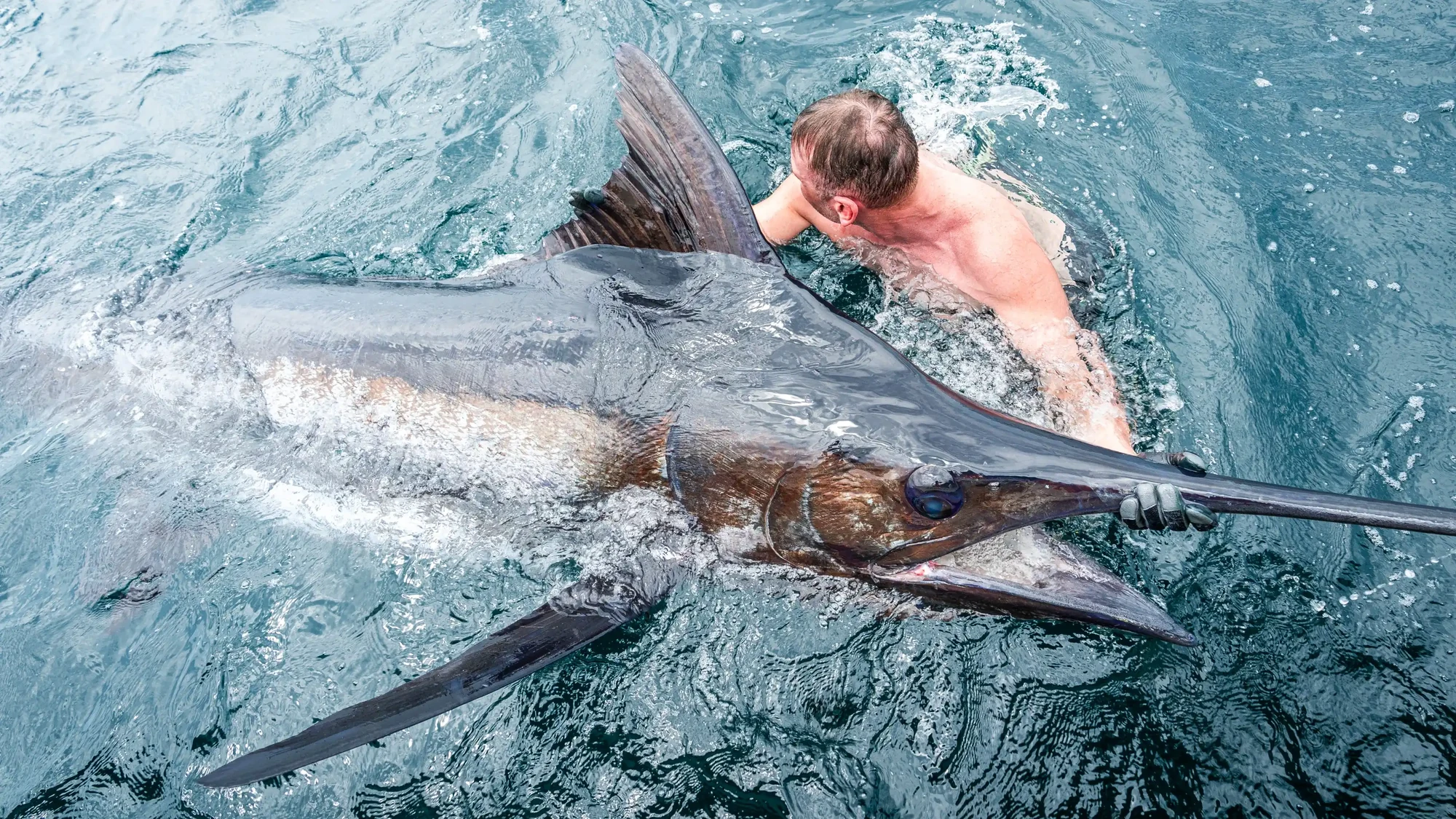 Angola 4 Blue Marlin 3200 scaled Angelurlaub Angola,Angola angeln,Angelreise Angola