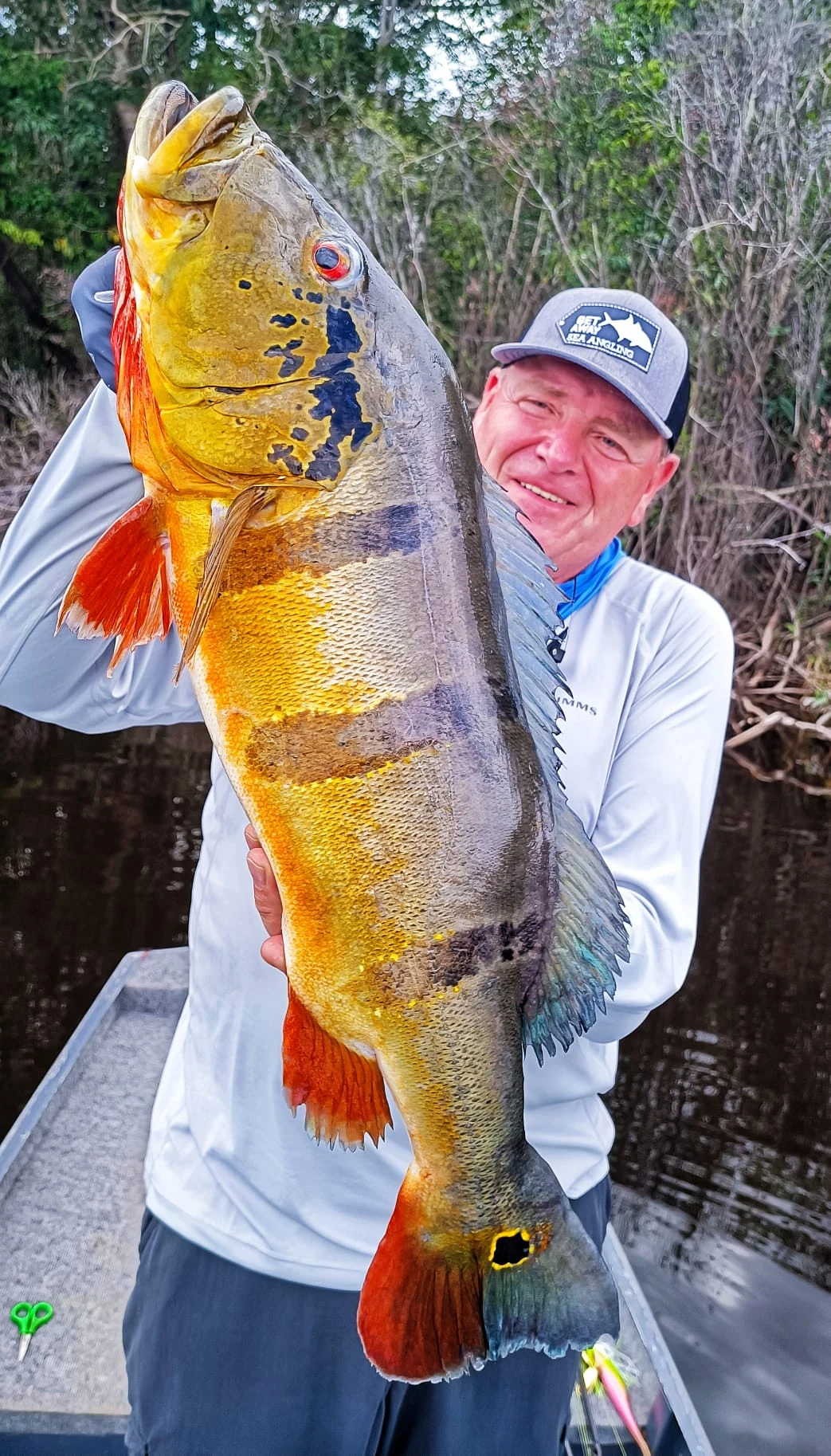 Christian Peacock 74cm