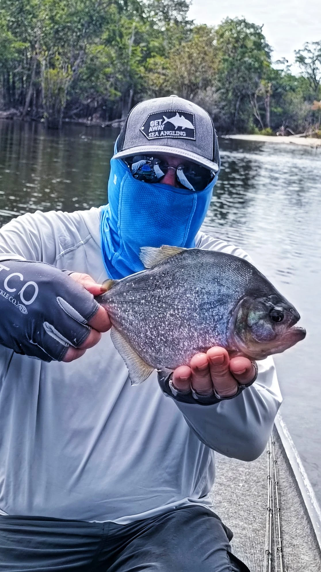 Christian Piranha