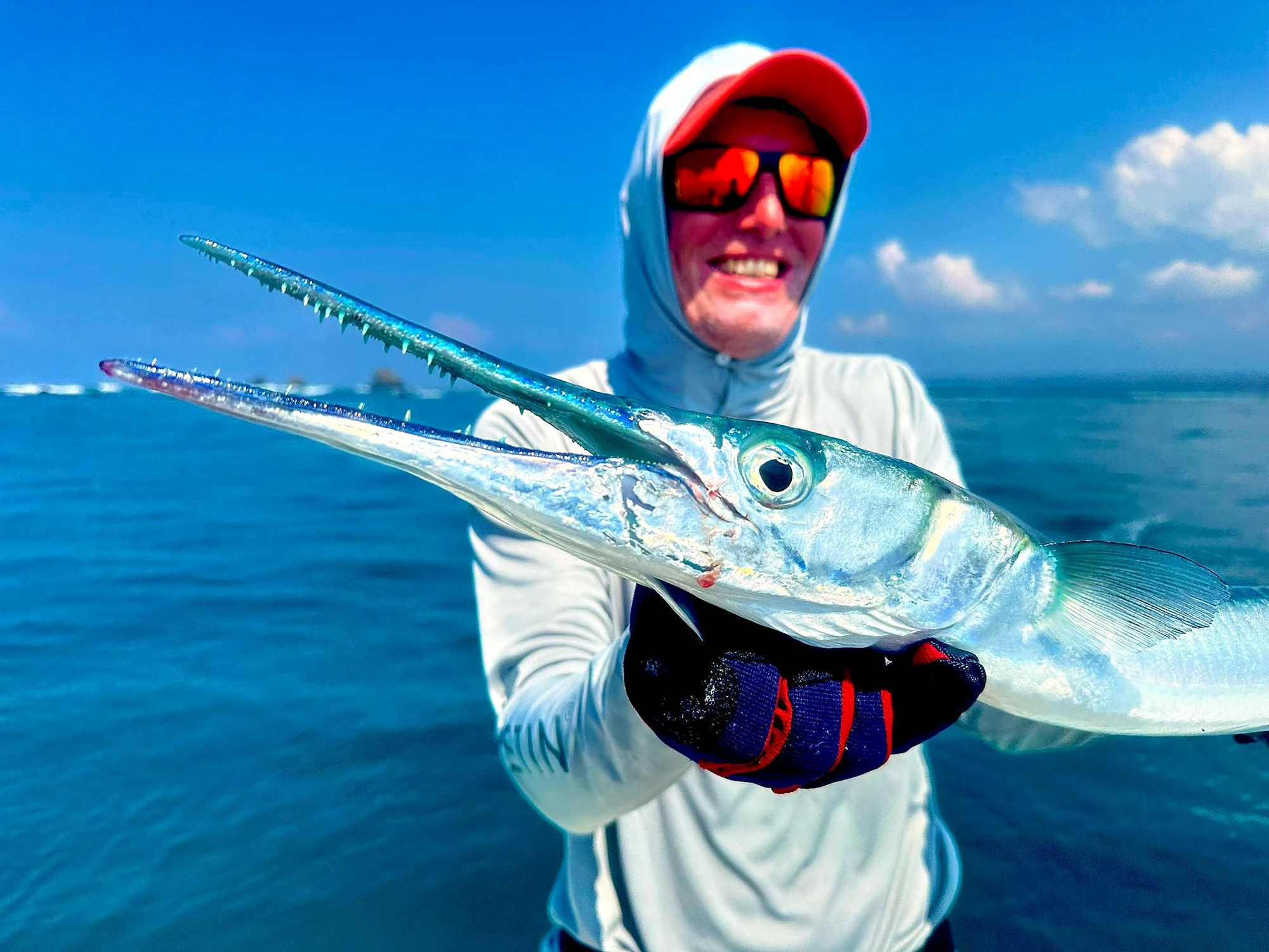 Costa Rica Needlefish 2