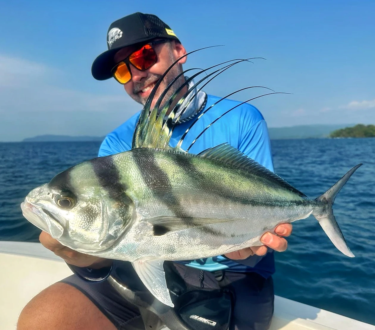 Costa Rica Rooster