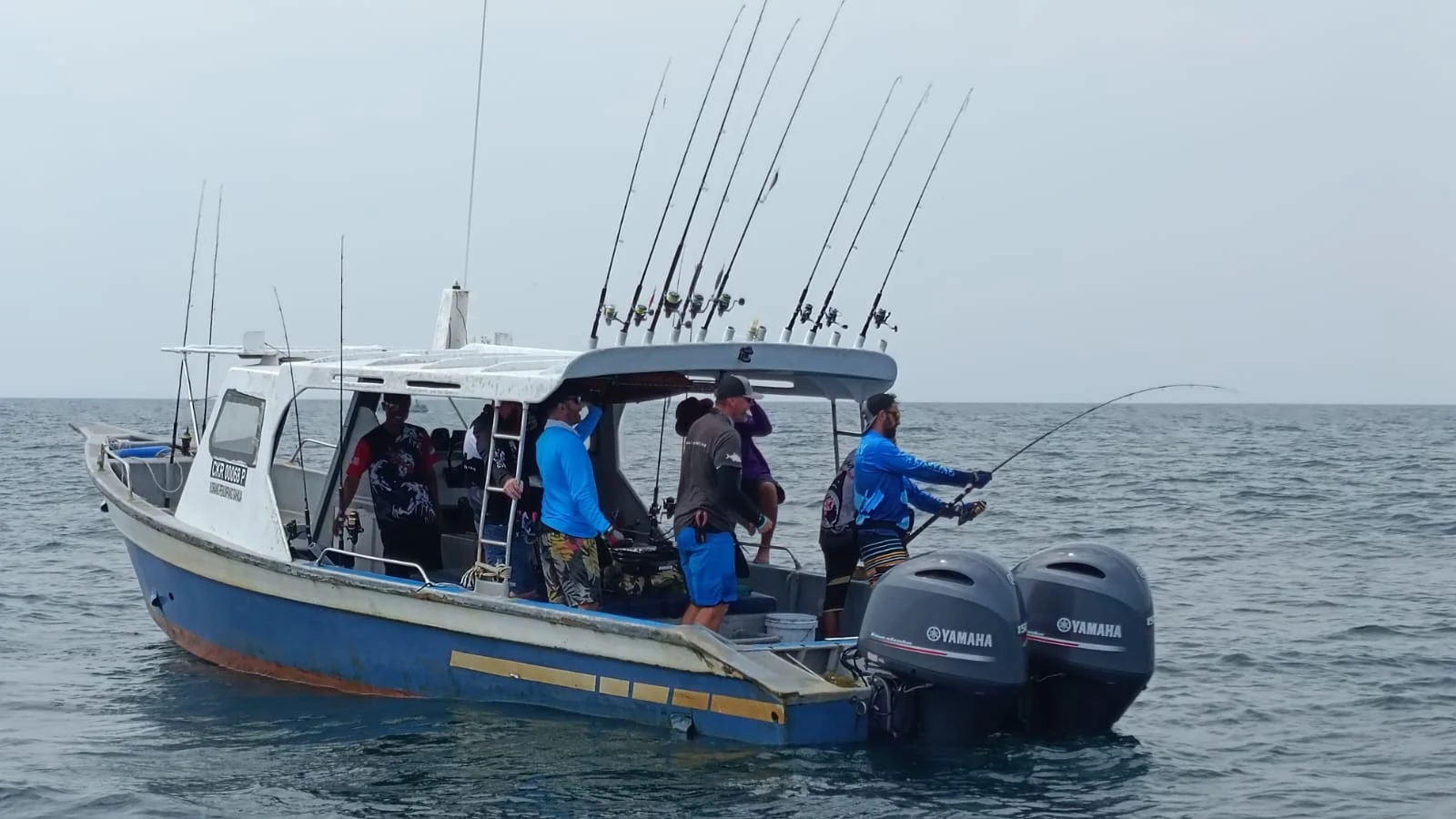 Malaysia 11