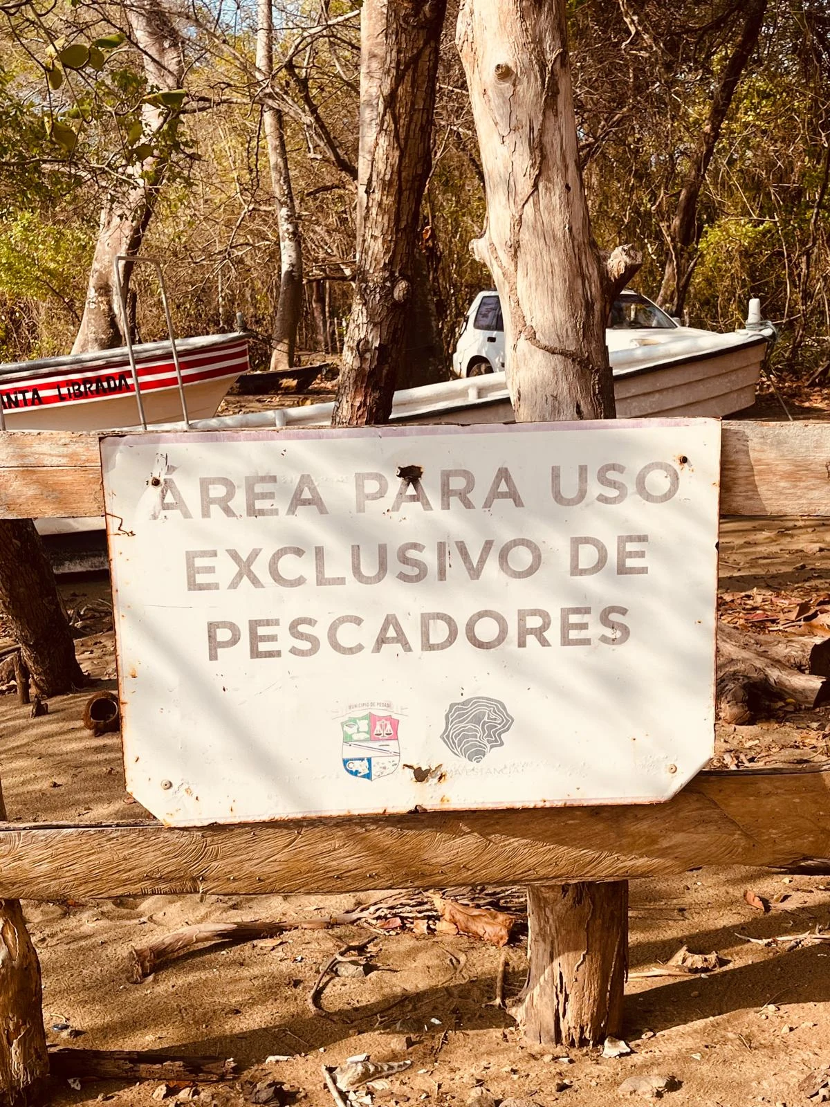 Panama 6