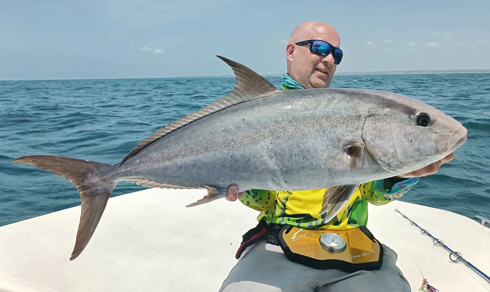 Panama Amberjack 1