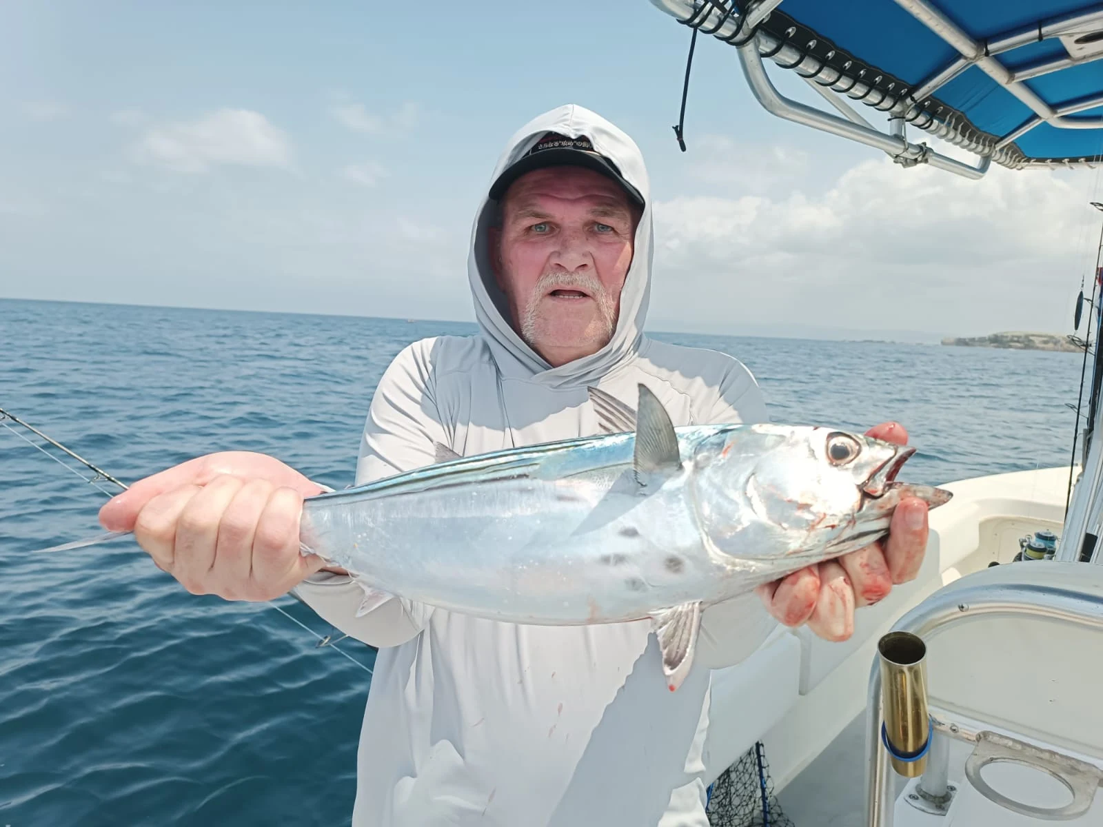 Panama Bonito 3