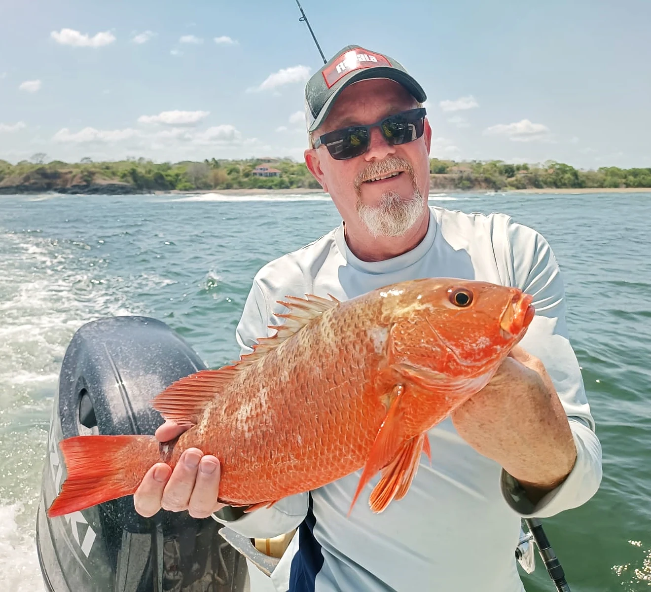 Panama Colorado Snapper