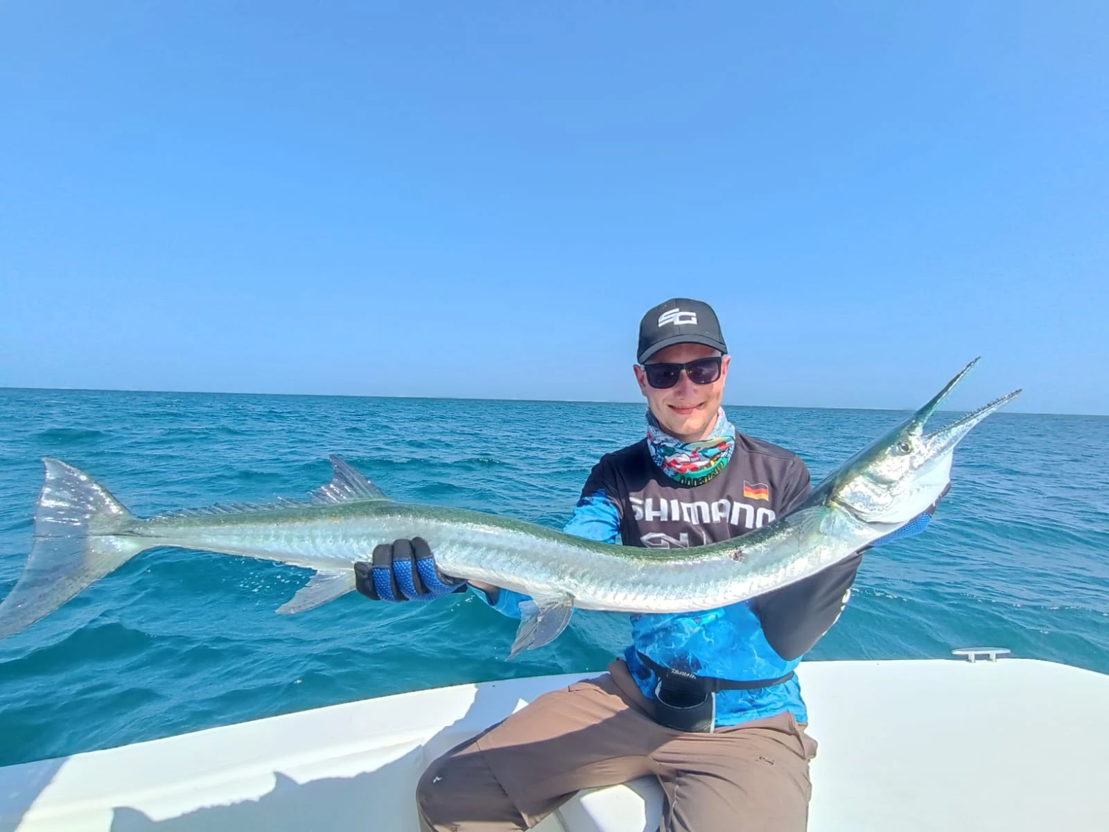 Panama Needlefish 2