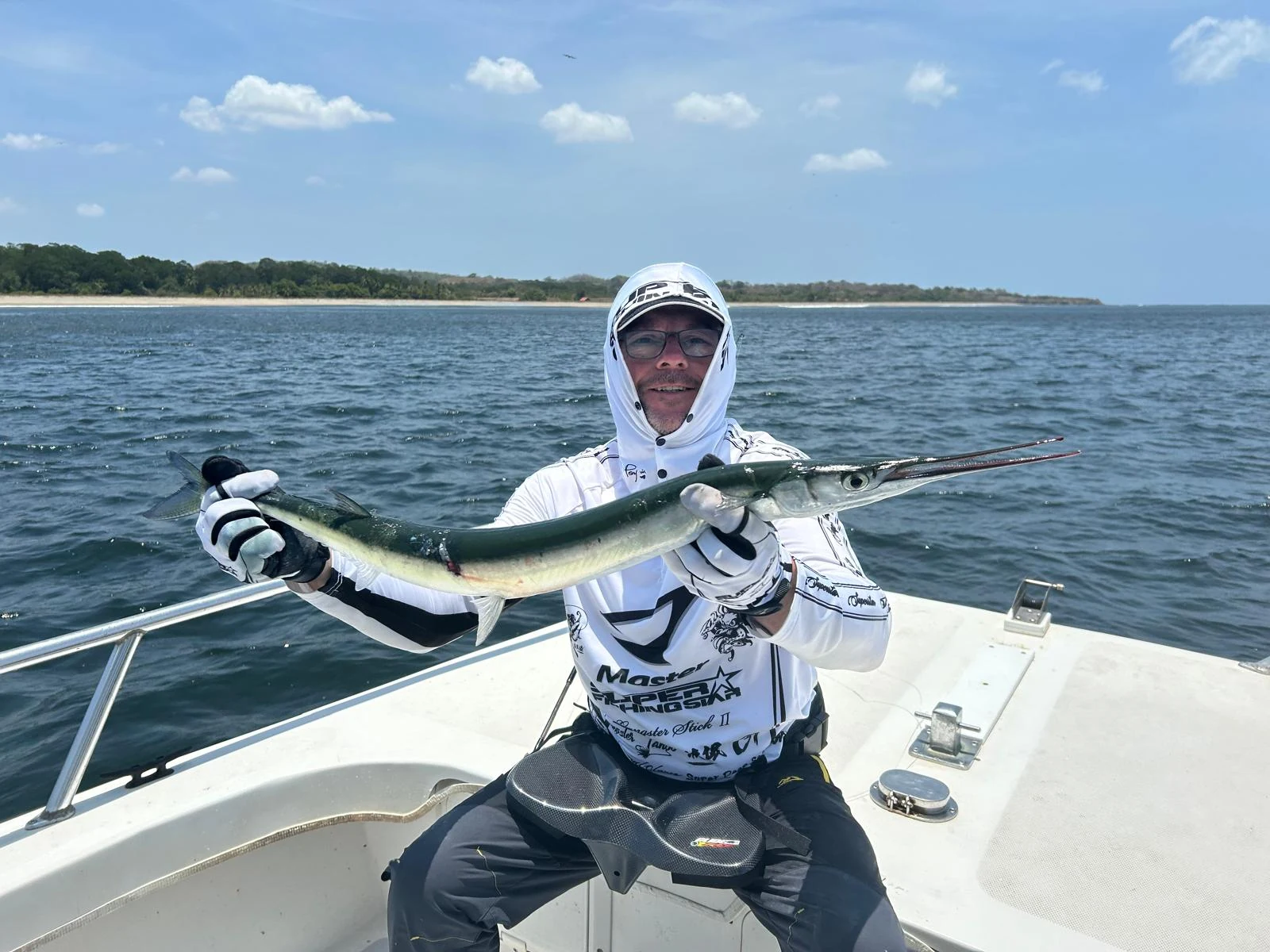 Panama Needlefish 3