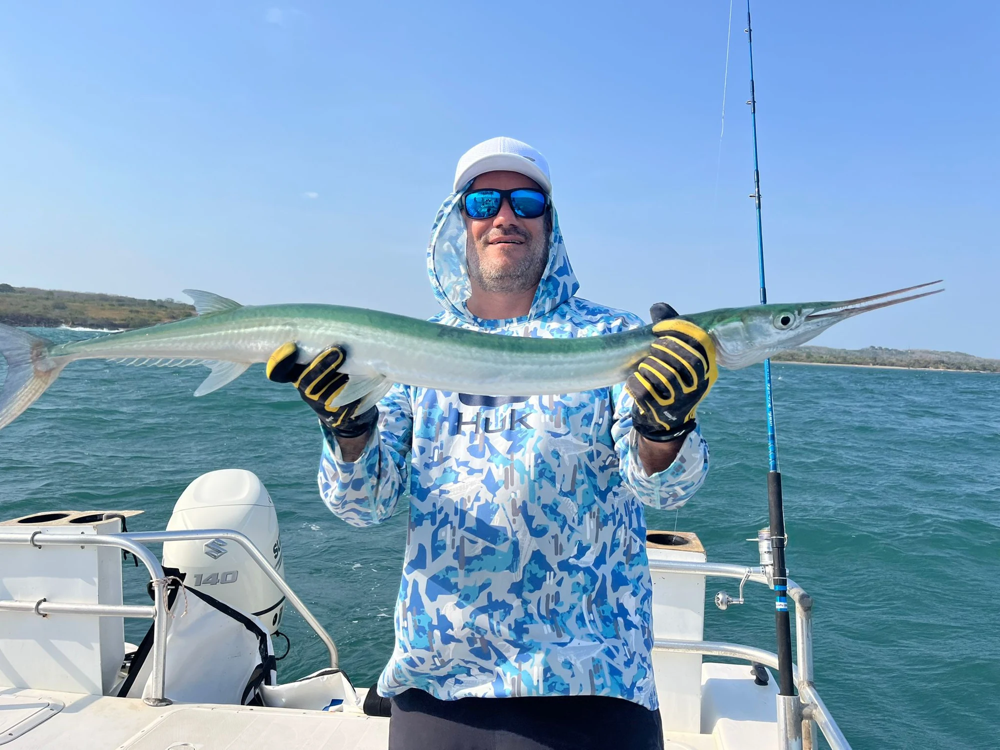 Panama Needlefish 4