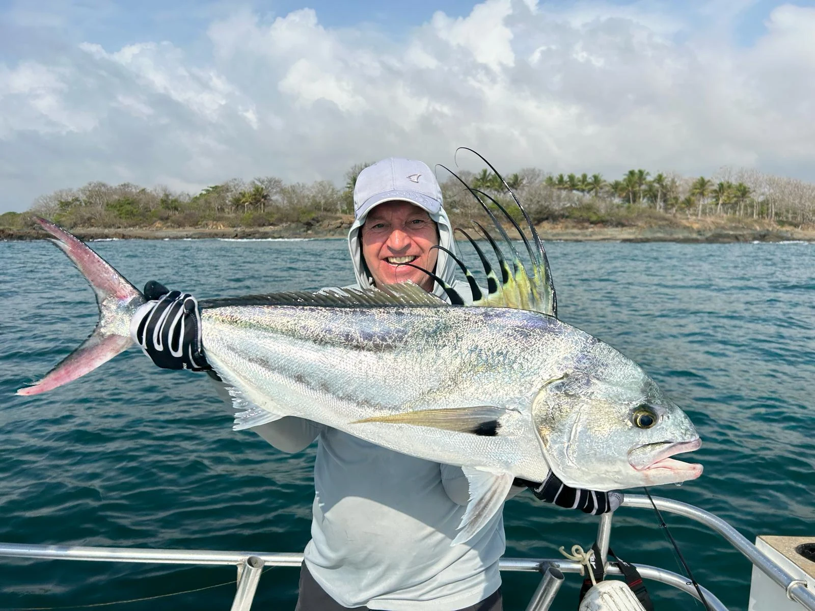 Panama Rooster 1