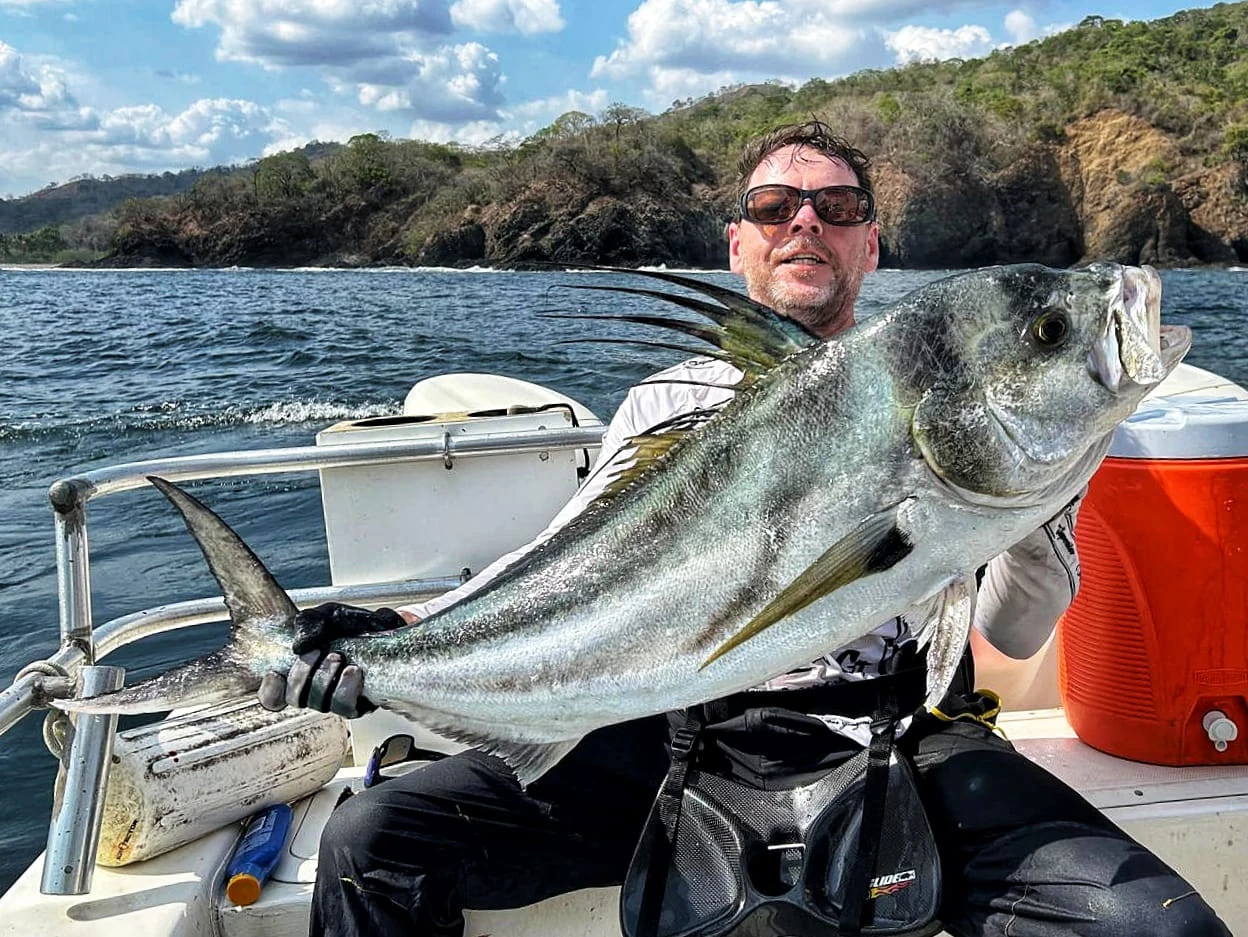 Panama Rooster 10
