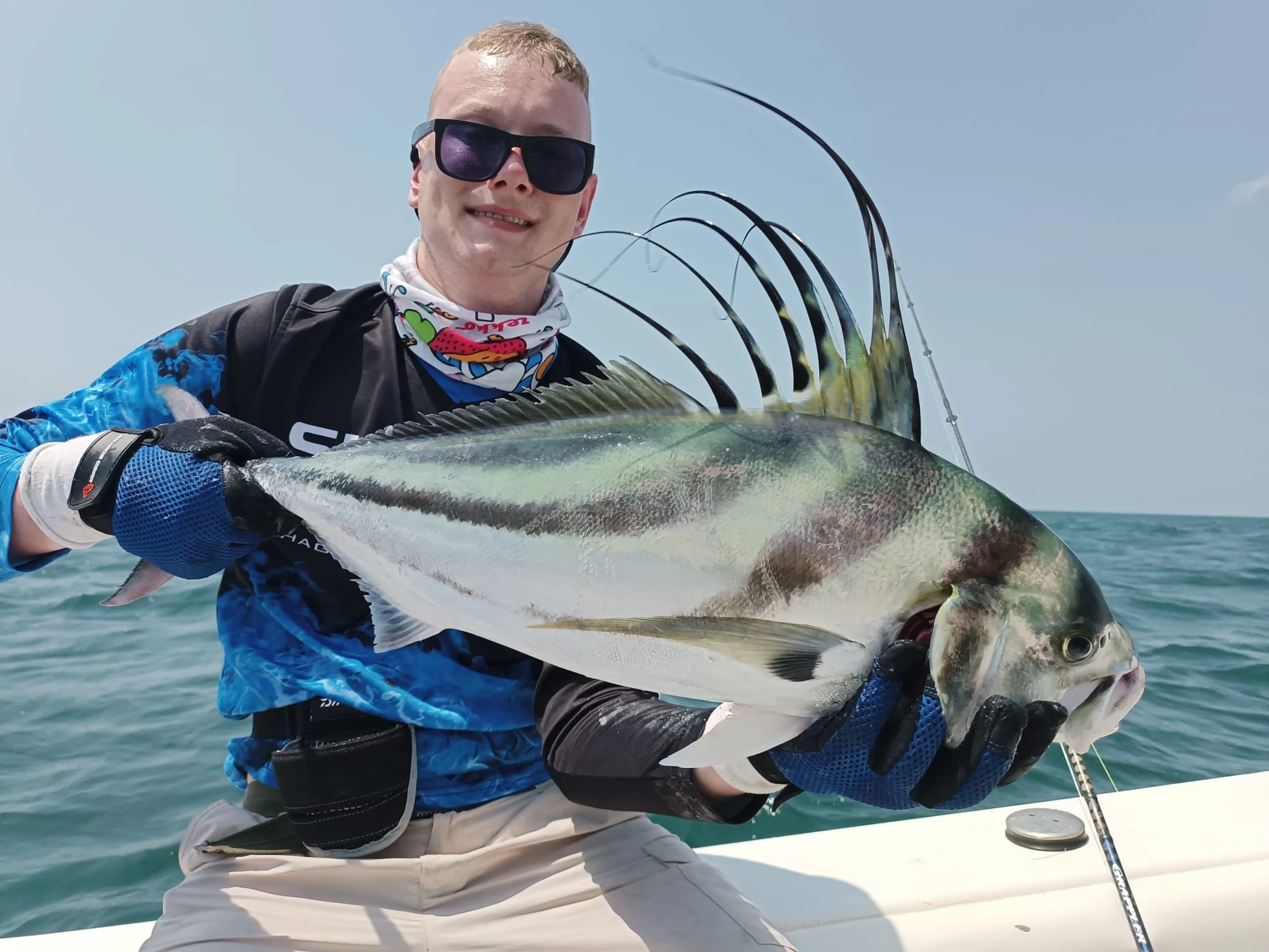 Panama Rooster 2