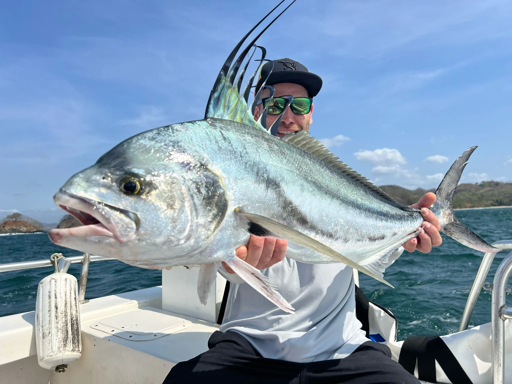 Panama Rooster 3