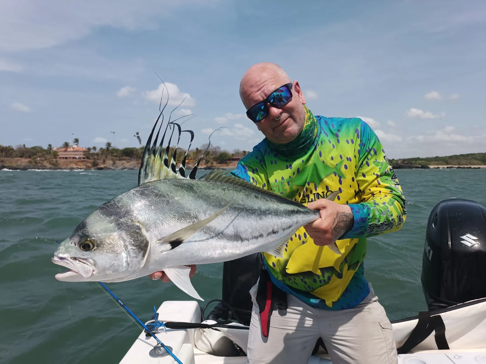 Panama Rooster 4