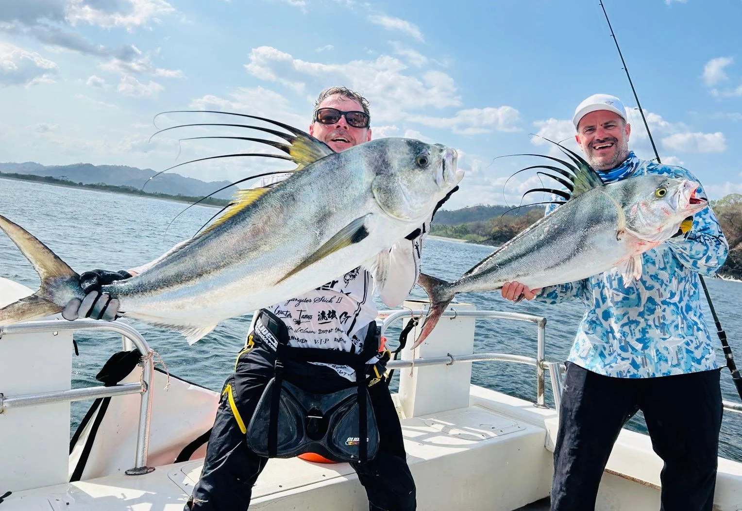 Panama Rooster 6
