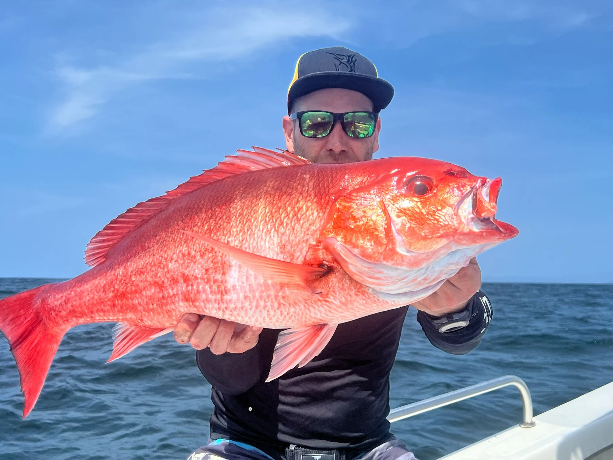 Panama Snapper 2