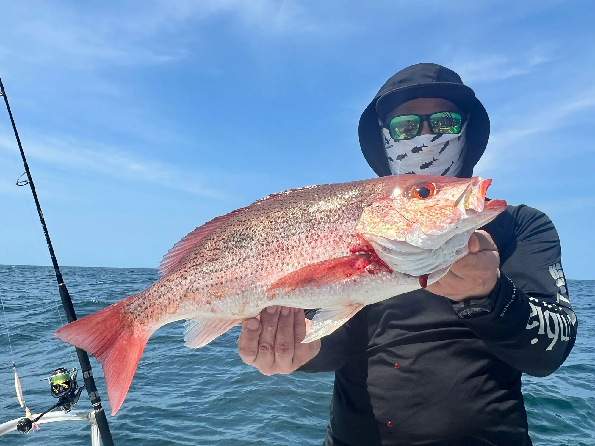 Panama Snapper 3