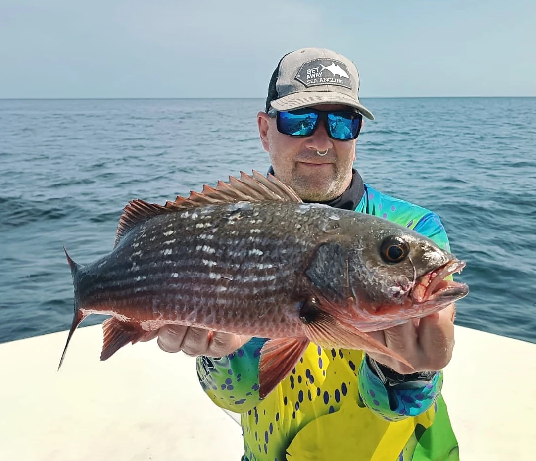 Panama Snapper