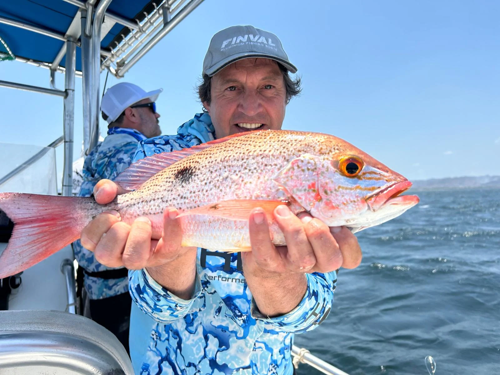 Panama White Snapper