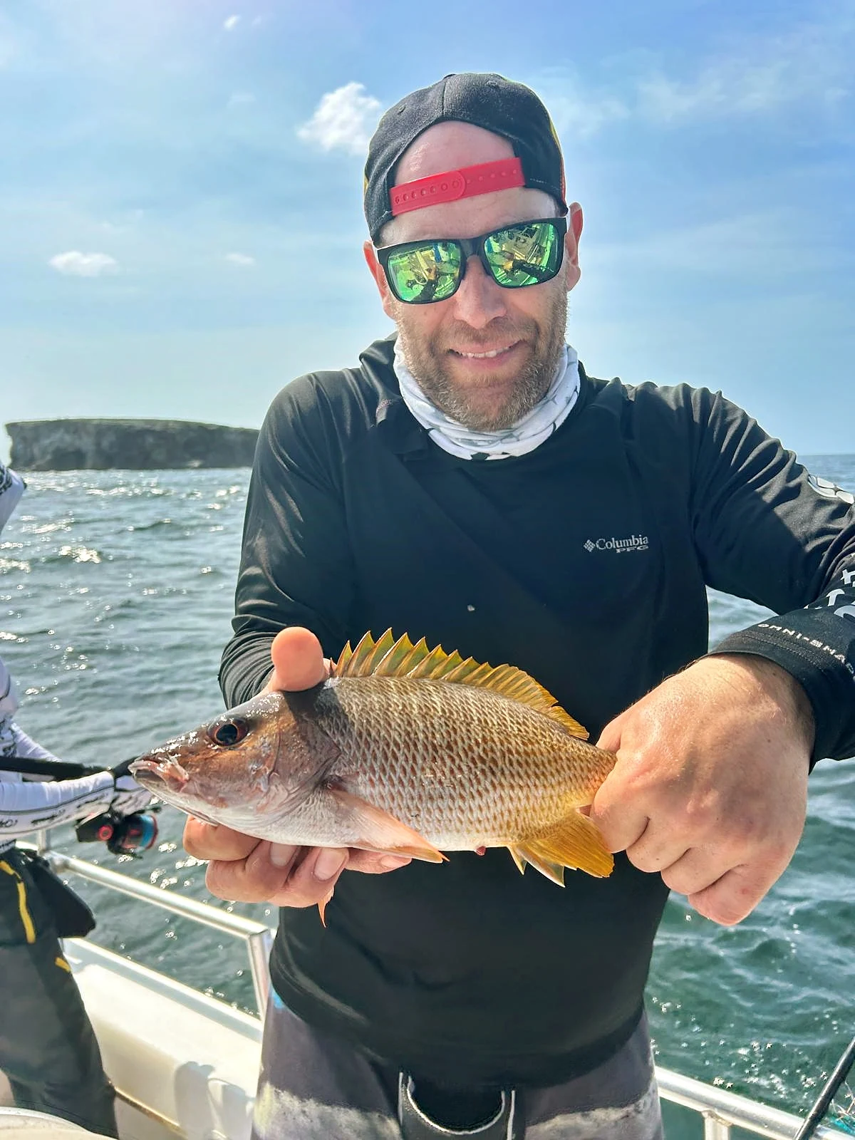 Panama Yellowtail Snapper