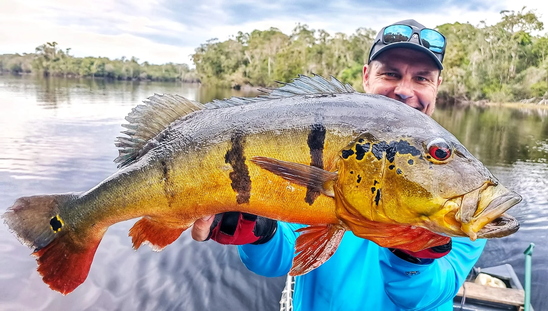 Robert Peacock 16