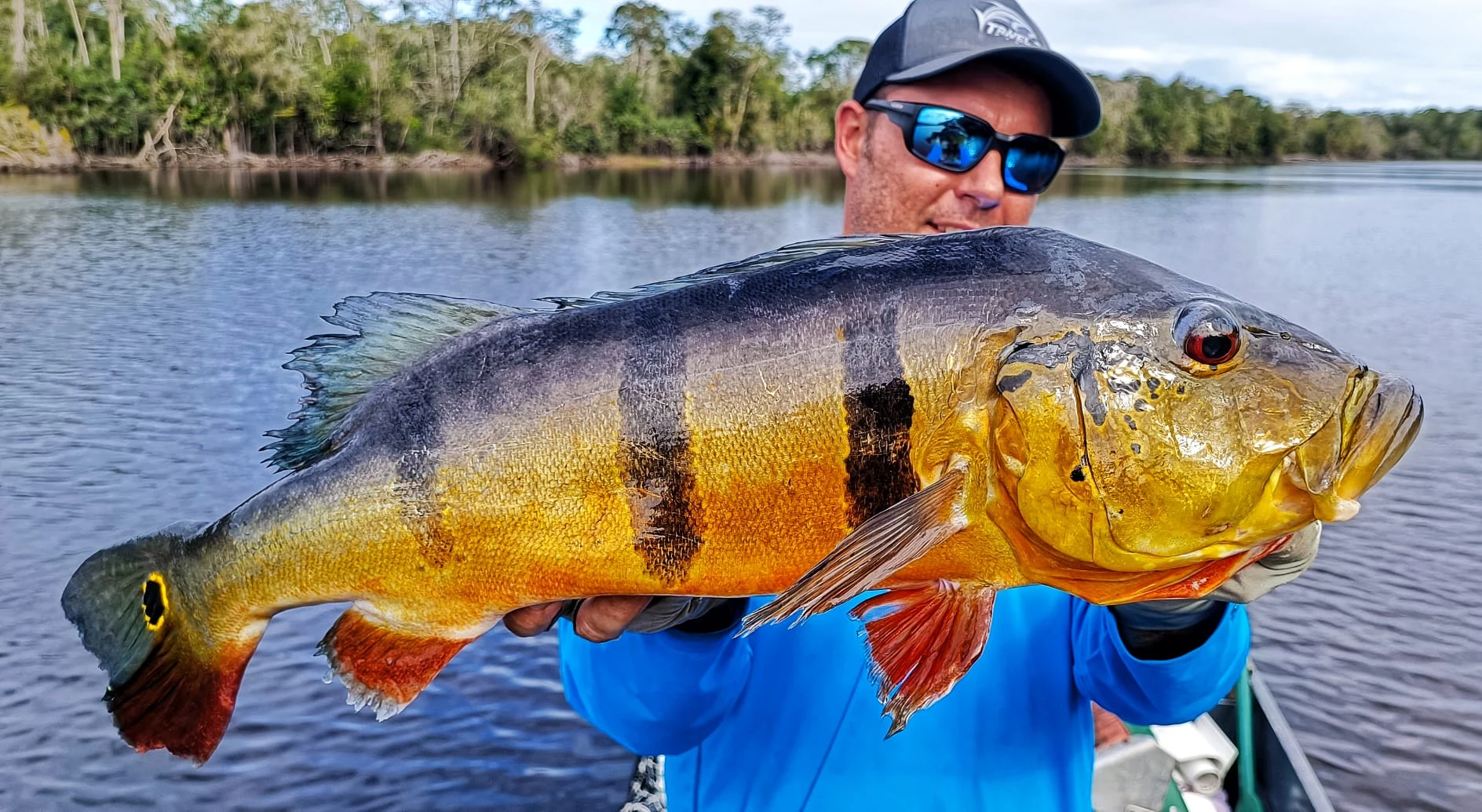 Robert Peacock 6
