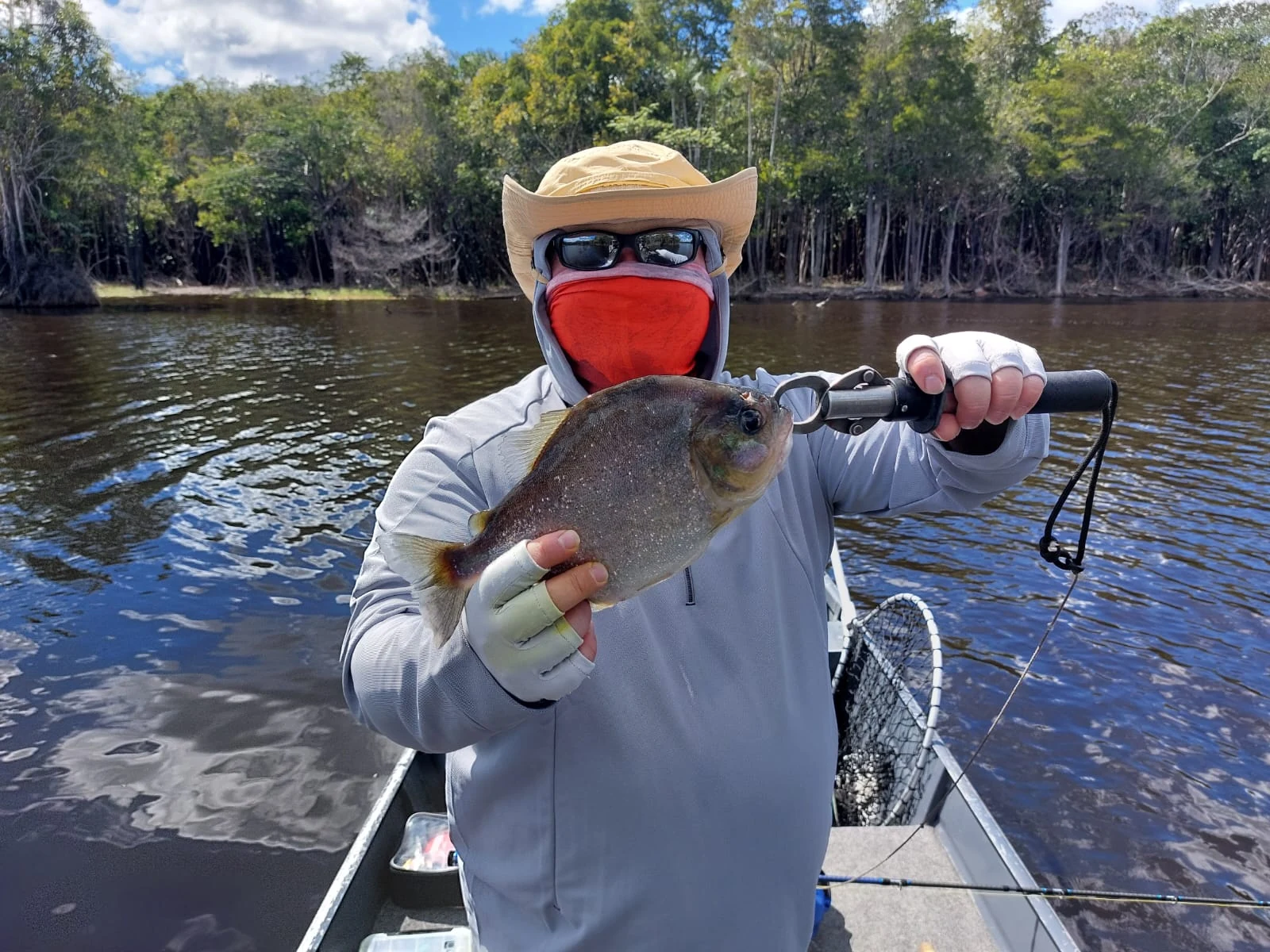Timo Piranha