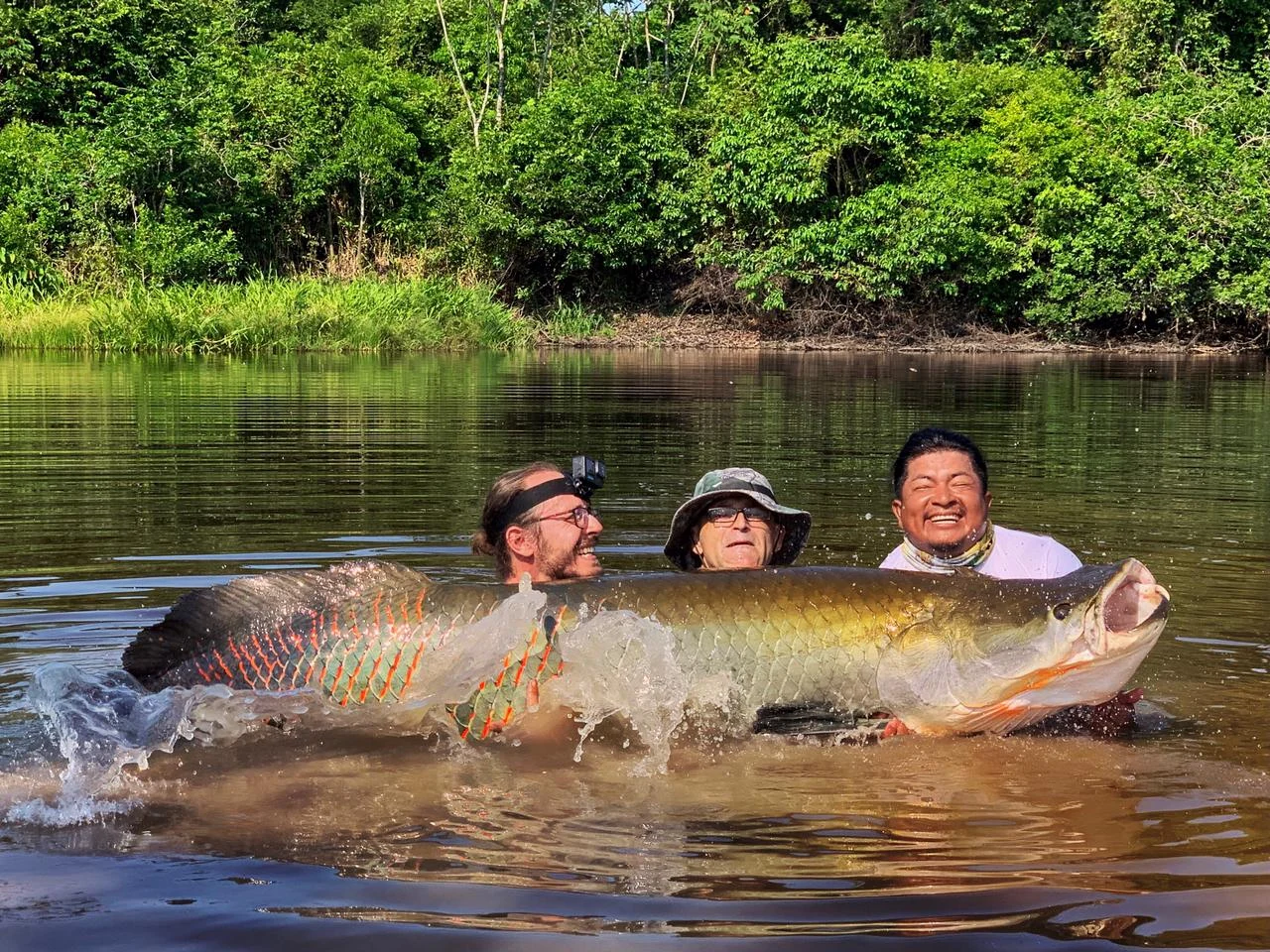 ecuador arapaima 2