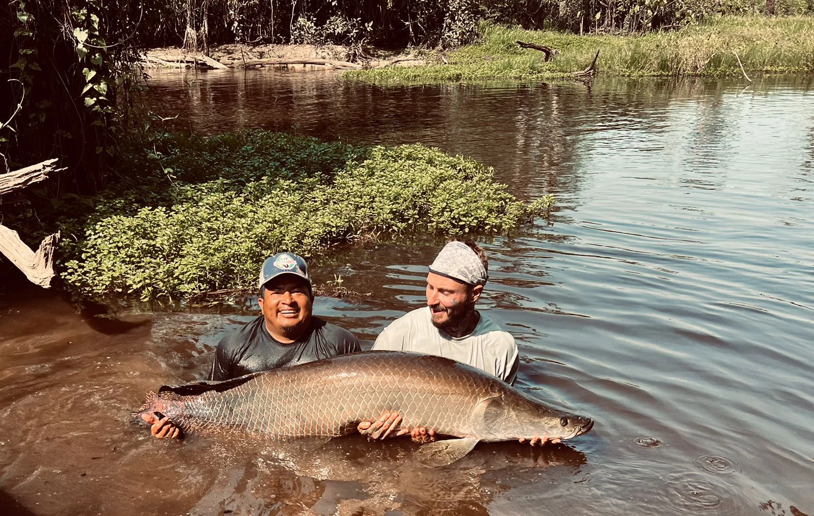 ecuador arapaima 6