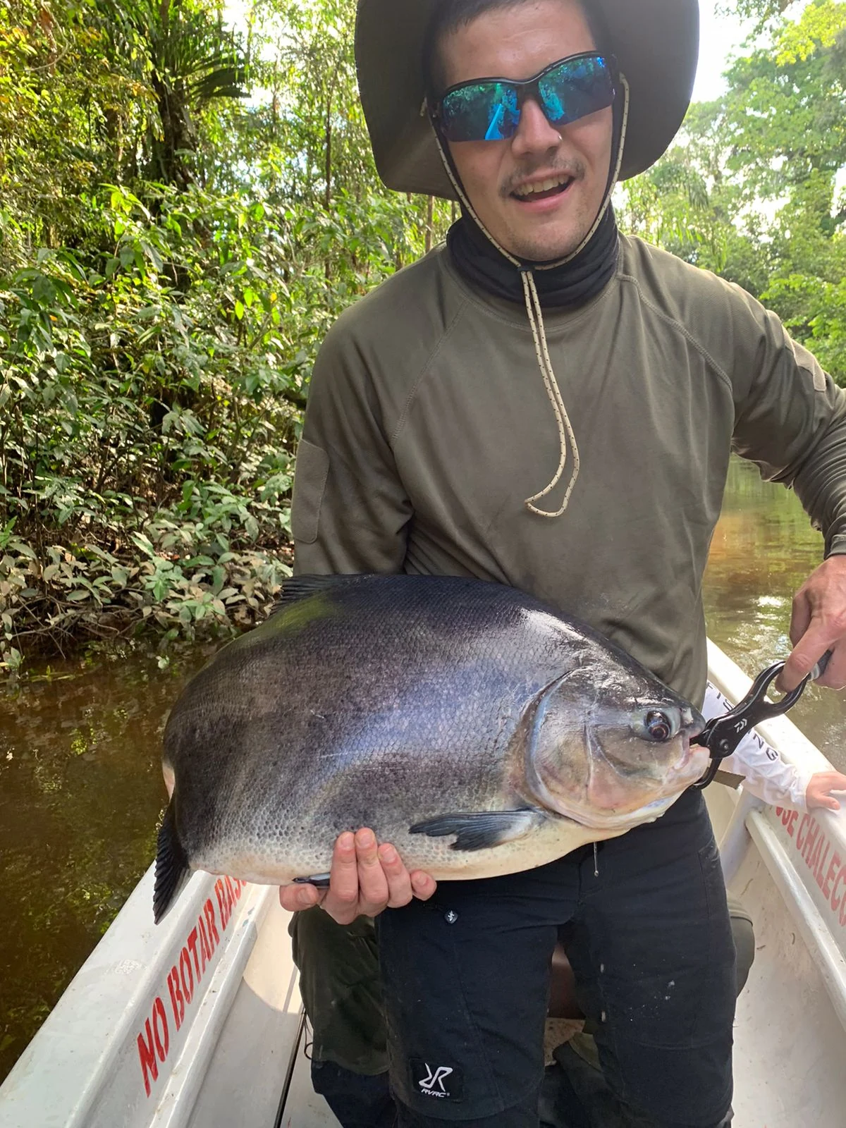 ecuador pacu